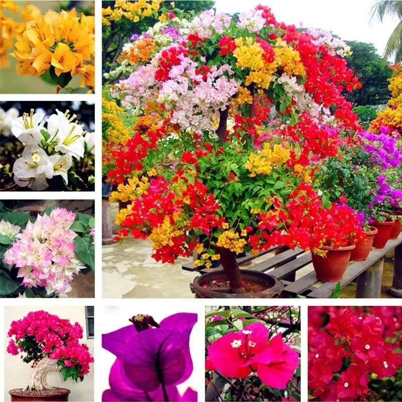 Online Store products